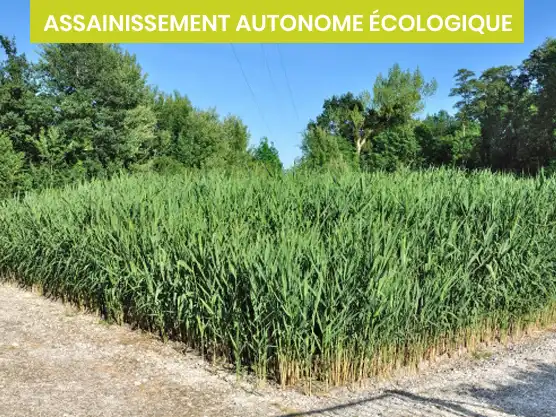 CRÉATION D'UN JARDIN D’ASSAINISSEMENT À ESVRES